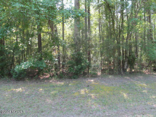 LOT 12 STILLWATER DRIVE, BELHAVEN, NC 27810, photo 3 of 8