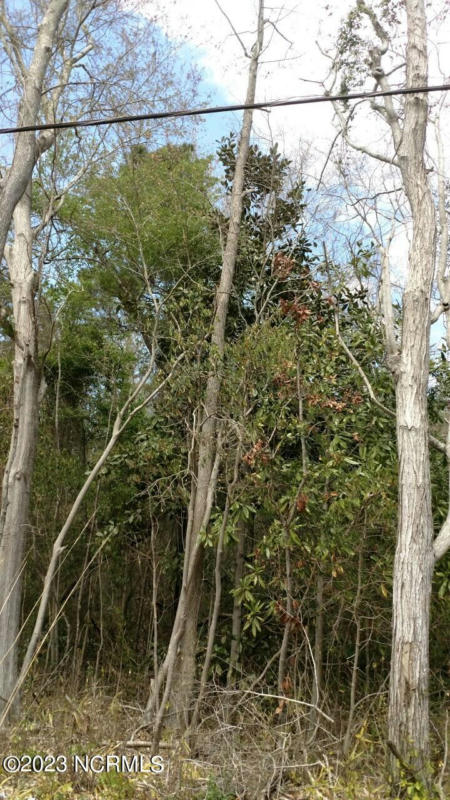 00 PENNSYLVANIA AVENUE, ROCKY POINT, NC 28457, photo 1