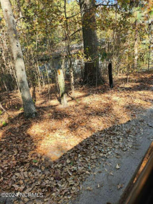 29969 HILLCREEK RD, WAGRAM, NC 28396, photo 3 of 4