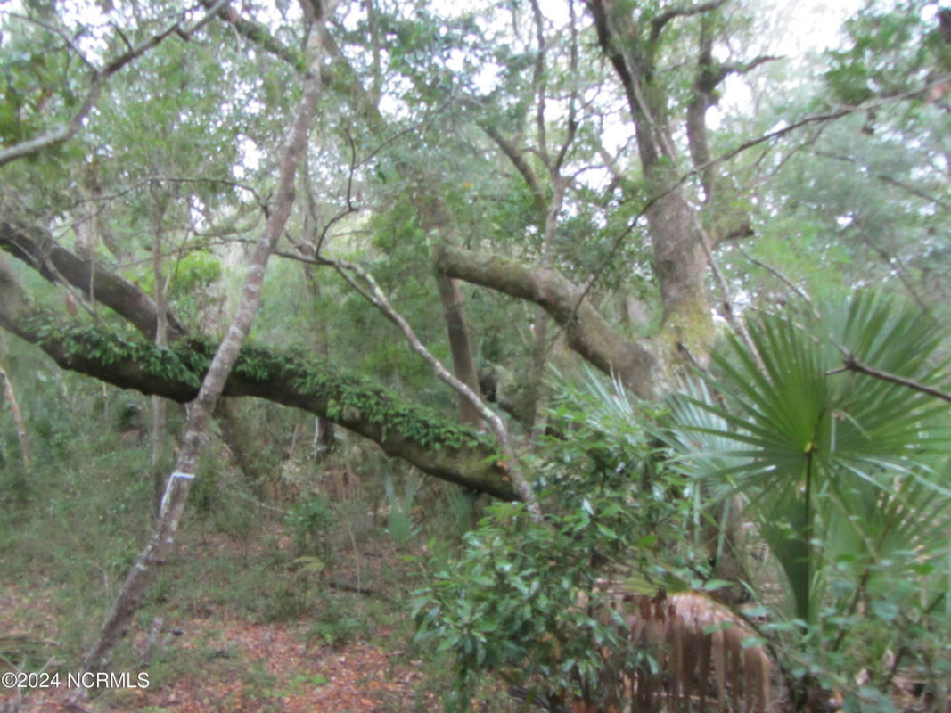 8 LEOPARD FROG CT # 18, BALD HEAD ISLAND, NC 28461, photo 1 of 13