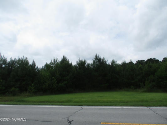 000 HIGHWAY 258 S, DEEP RUN, NC 28525 - Image 1