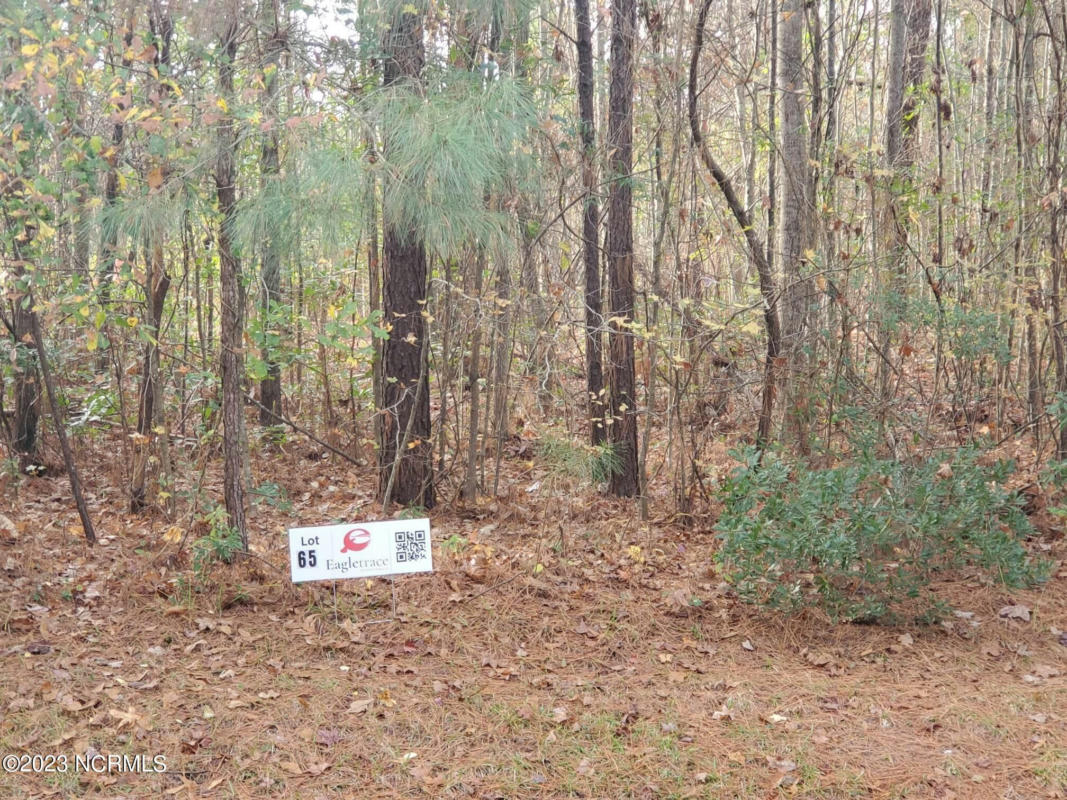 LOT 65 EAGLE TRACE DRIVE, BLOUNTS CREEK, NC 27814, photo 1 of 61