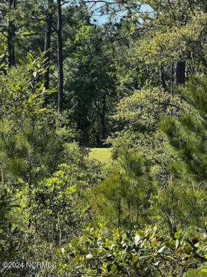 LOT 81 TREVINO ROAD, BOILING SPRING LAKES, NC 28461, photo 4 of 15