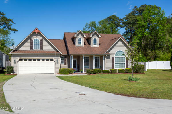 116 PERRY MEADOW DR, NEW BERN, NC 28562 - Image 1