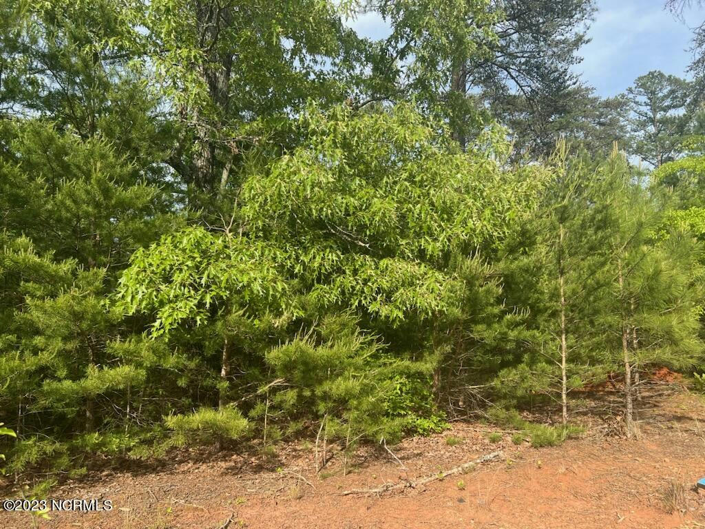 LOT# 96 LAKEVIEW PASS, ROCKINGHAM, NC 28379, photo 1 of 11