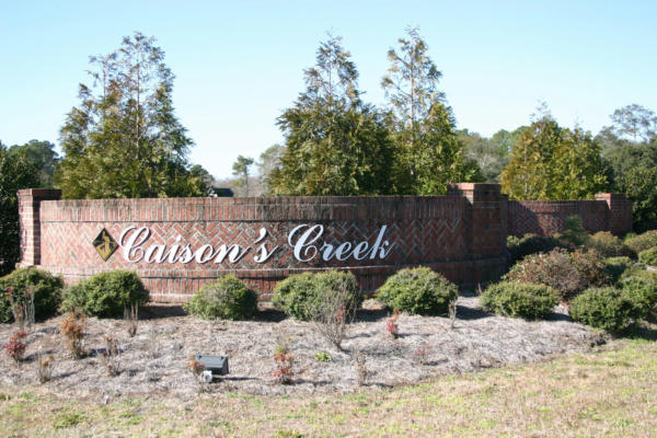 1846 CAISONS CREEK DR SW # 3, SUPPLY, NC 28462, photo 4 of 23