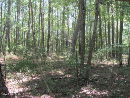 LOT 12 STILLWATER DRIVE, BELHAVEN, NC 27810, photo 5 of 8