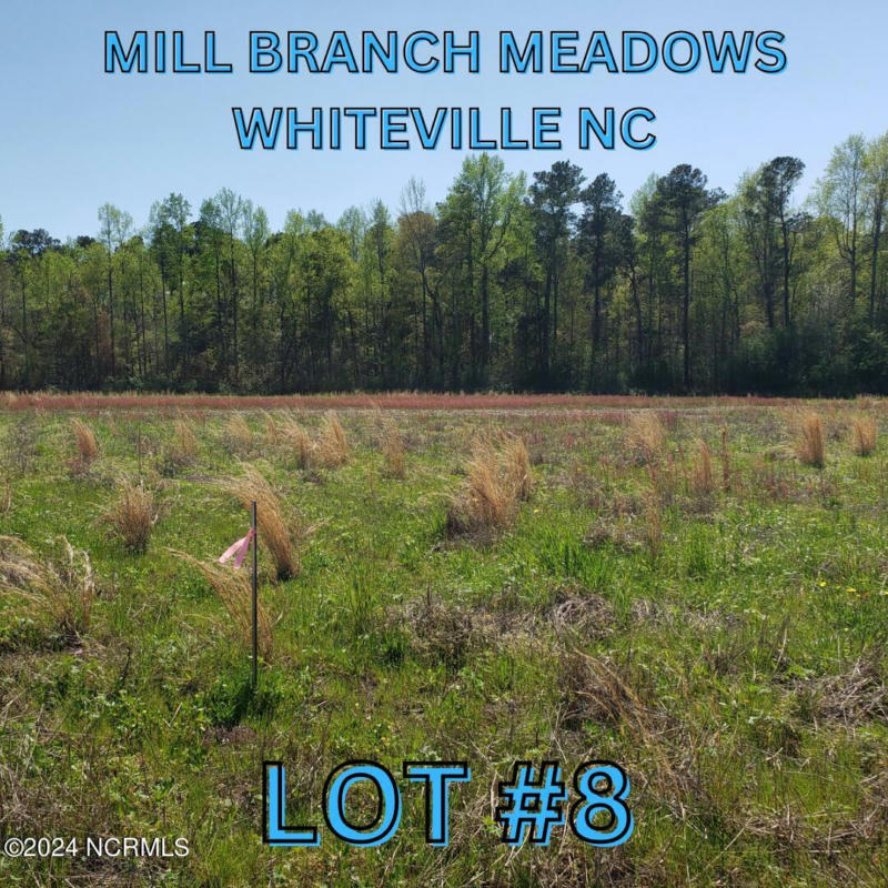 97 MILL BRANCH DRIVE # 8, WHITEVILLE, NC 28472, photo 1 of 3