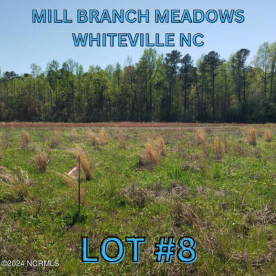 97 MILL BRANCH DRIVE # 8, WHITEVILLE, NC 28472 - Image 1