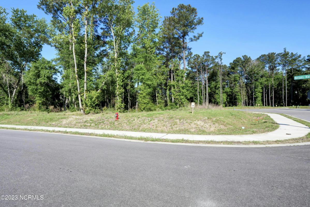 1743 HERONS VIEW DR # 20, WILMINGTON, NC 28401, photo 1 of 34
