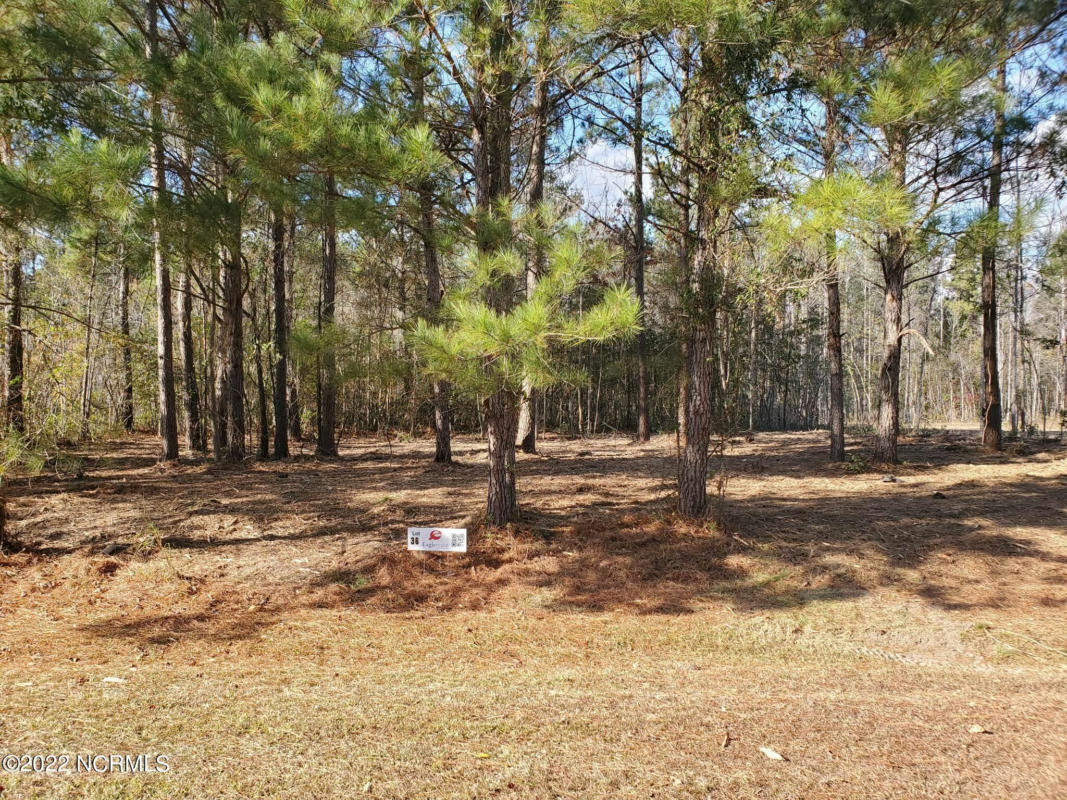 LOT 36 EAGLE TRACE DRIVE, BLOUNTS CREEK, NC 27814, photo 1 of 61