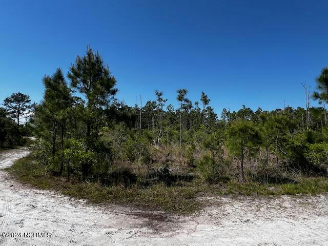 LOT 81 TREVINO ROAD, BOILING SPRING LAKES, NC 28461, photo 1 of 15