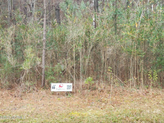 LOT 55 EAGLE NEST TRAIL, BLOUNTS CREEK, NC 27814 - Image 1