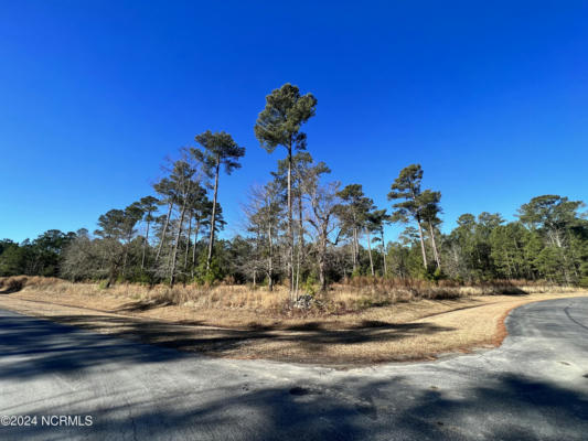 LOT 63 BAILEY POINTE, BELHAVEN, NC 27810, photo 3 of 7