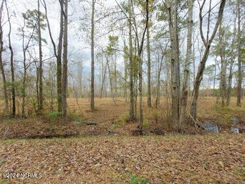 8055 US HIGHWAY 17 N, VANCEBORO, NC 28586, photo 5 of 8