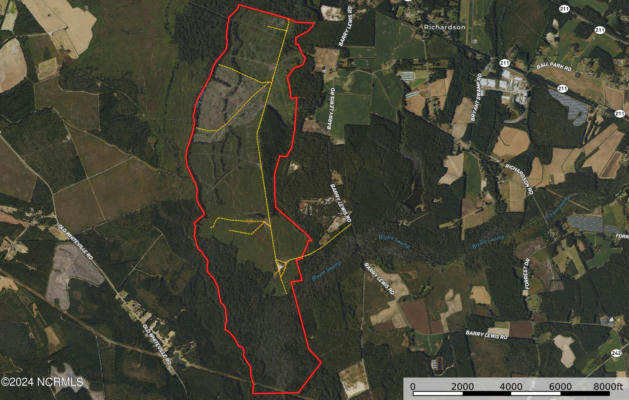 TBD BERRY LEWIS ROAD, BUTTERS, NC 28320 - Image 1