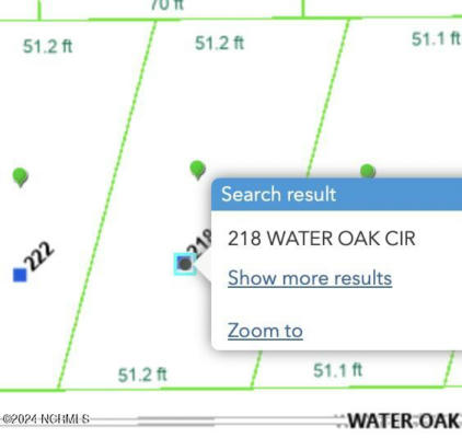 218 WATER OAKS CT # 10, KURE BEACH, NC 28449 - Image 1