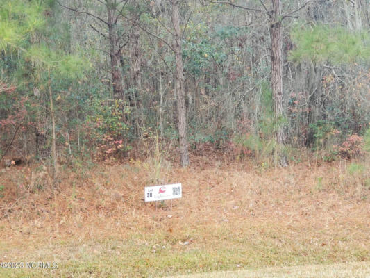 LOT 38 EAGLE TRACE DRIVE, BLOUNTS CREEK, NC 27814 - Image 1