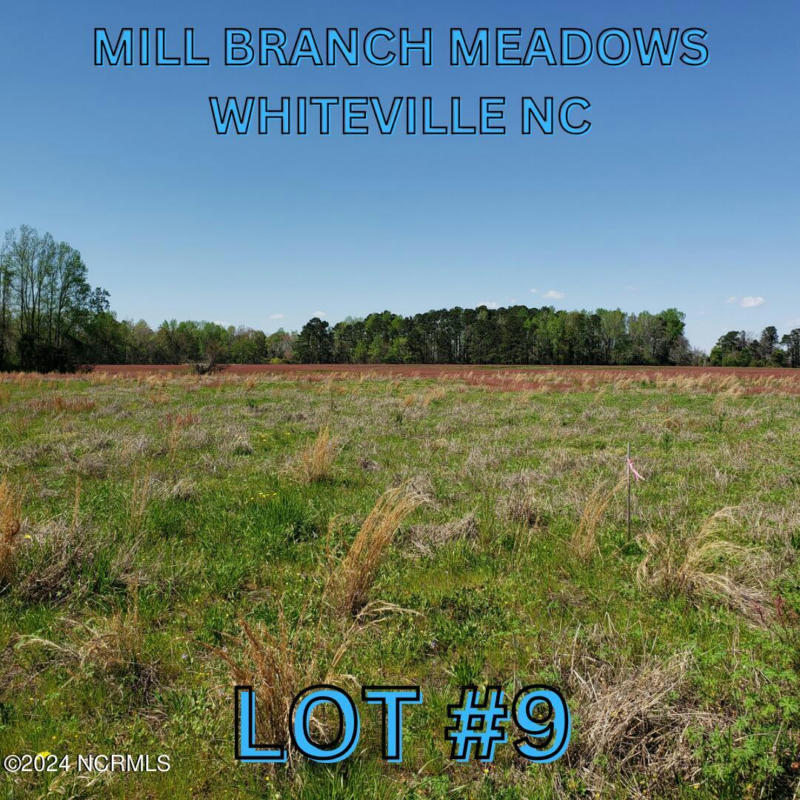 96 MILL BRANCH DRIVE # 9, WHITEVILLE, NC 28472, photo 1 of 3