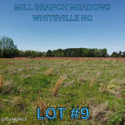 96 MILL BRANCH DRIVE # 9, WHITEVILLE, NC 28472 - Image 1