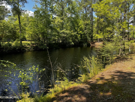 LOT 53/54 RIVER BEND DRIVE # 53/54, BURGAW, NC 28425 - Image 1