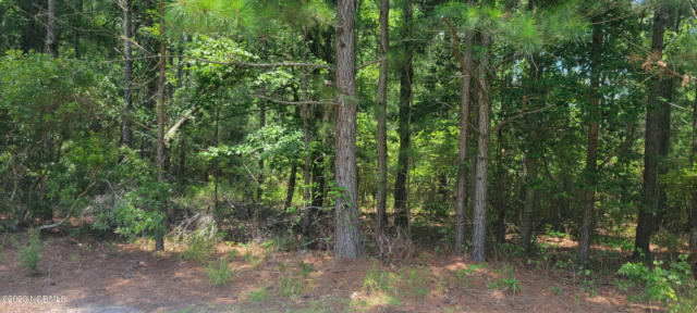 0 SUNSET POINT # 46, BELHAVEN, NC 27810, photo 4 of 5