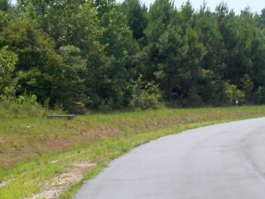 57 EAGLE NEST TRAIL, BLOUNTS CREEK, NC 27814, photo 2 of 7