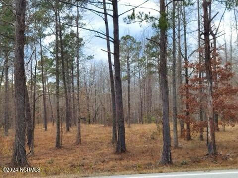 8055 US HIGHWAY 17 N, VANCEBORO, NC 28586, photo 2 of 8