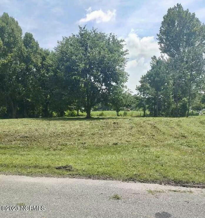 LOT D NEAR 243 SANDERS STREET, TABOR CITY, NC 28463, photo 1 of 7