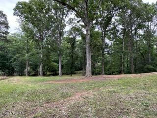 11486A NC 222 HWY W, MIDDLESEX, NC 27557, photo 4 of 38