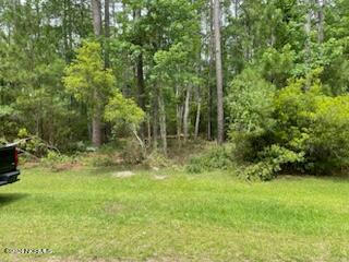 9 PITCH KETTLE COURT # 9, BELHAVEN, NC 27810, photo 3 of 6