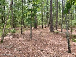 9 PITCH KETTLE COURT # 9, BELHAVEN, NC 27810, photo 2 of 6