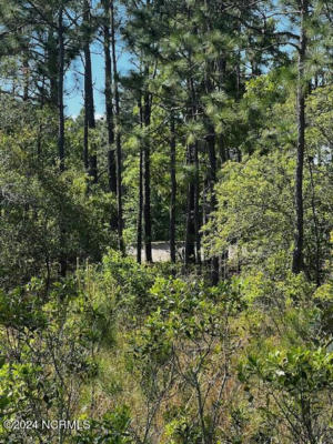 LOT 81 TREVINO ROAD, BOILING SPRING LAKES, NC 28461, photo 5 of 15