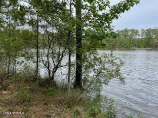 9 PITCH KETTLE COURT # 9, BELHAVEN, NC 27810, photo 5 of 6