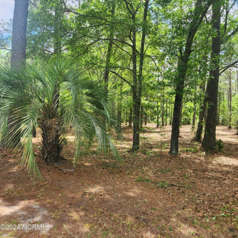 2539 SHELL POINT ROAD # 3.36 ACRES, SUPPLY, NC 28462, photo 1 of 12